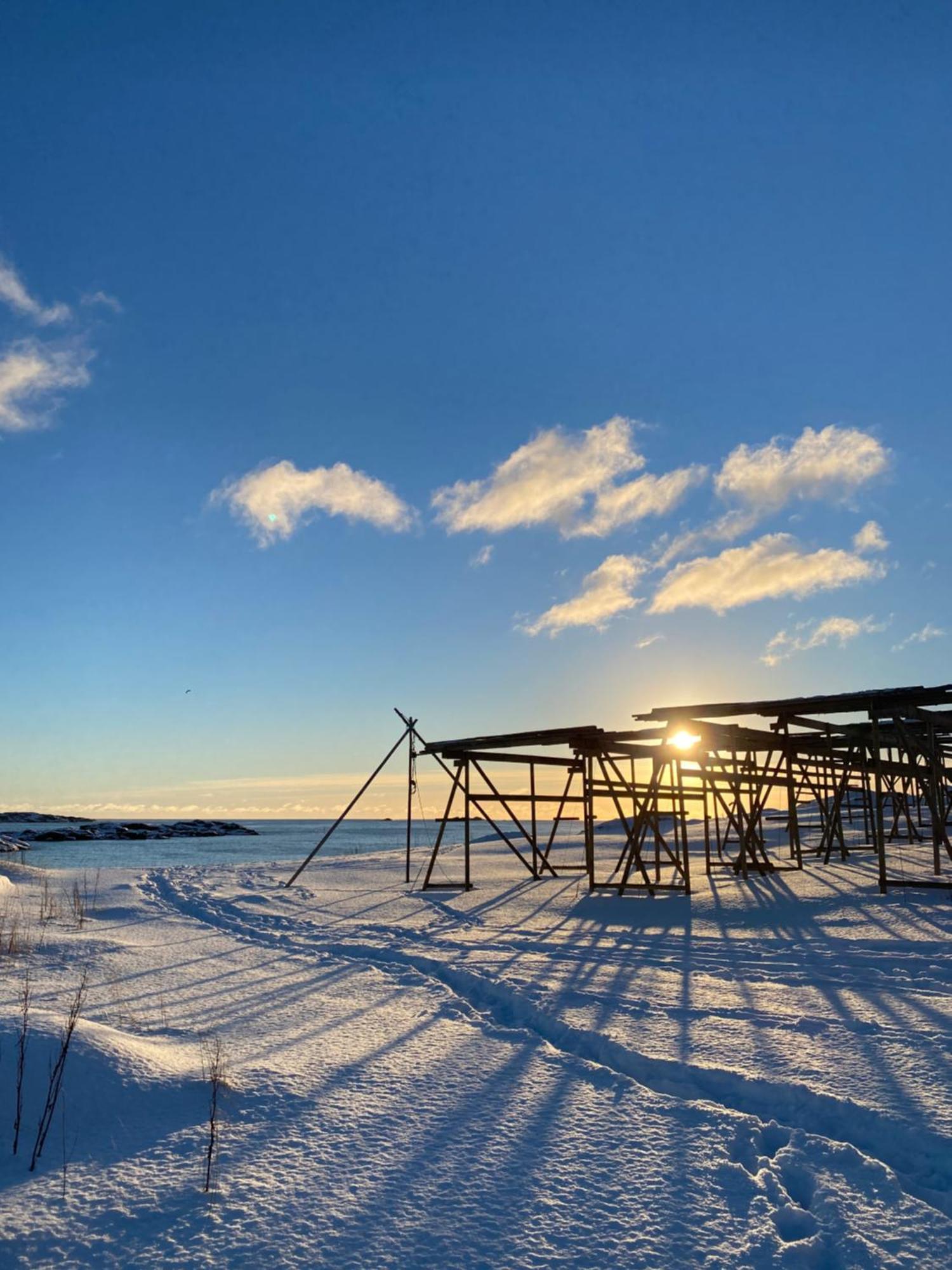 Superior Cabin Ballstad Lofoten Exteriér fotografie